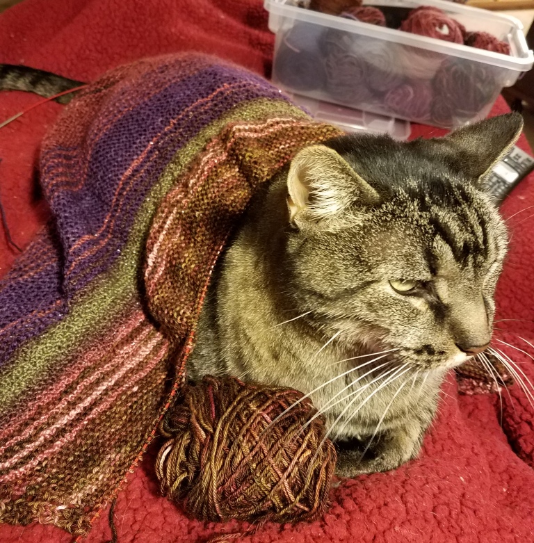 Cat and knitting.